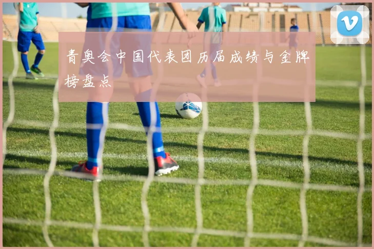 青奥会中国代表团历届成绩与金牌榜盘点