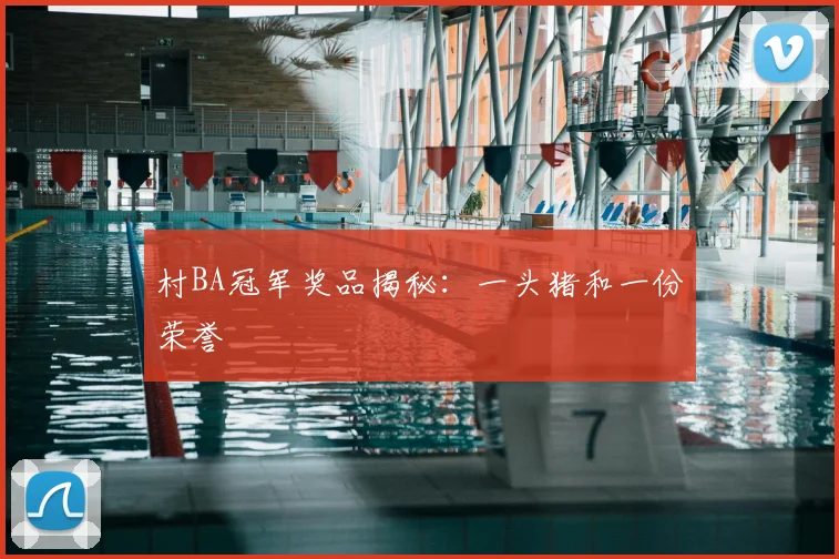 村BA冠军奖品揭秘：一头猪和一份荣誉