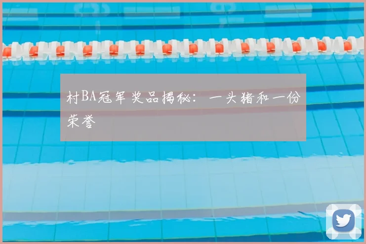 村BA冠军奖品揭秘:一头猪和一份荣誉